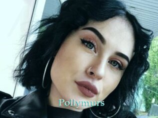 Pollymurs