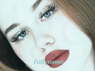 Pollynaster