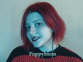 Poppyblom