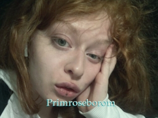 Primroseborom