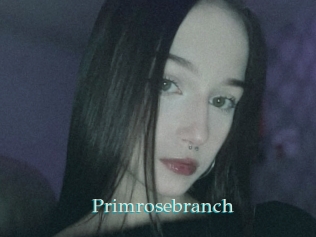 Primrosebranch