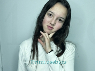 Primrosebute