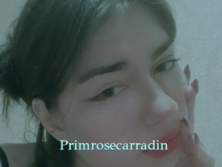 Primrosecarradin