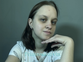 Primrosecarvin