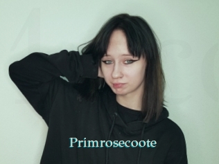 Primrosecoote