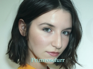 Primrosefurr