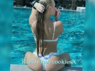 Raisin_free_cookiesX