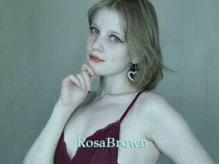 RosaBrown