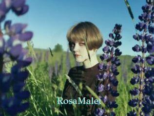RosaMalet