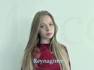 Reynagitter