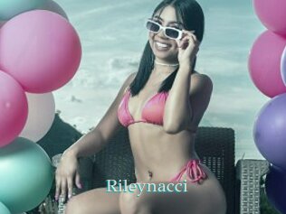 Rileynacci