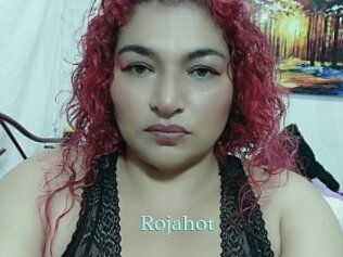 rojahot 1 grosse cochonne