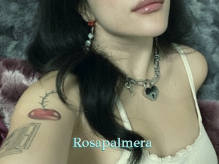 rosapalmera 1 grosse cochonne