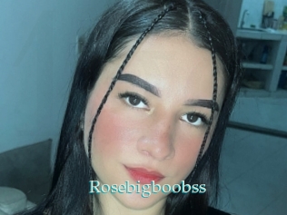 Rosebigboobss