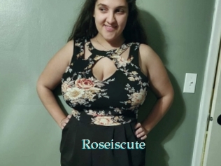 Roseiscute