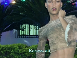 rosesscott 1 grosse cochonne