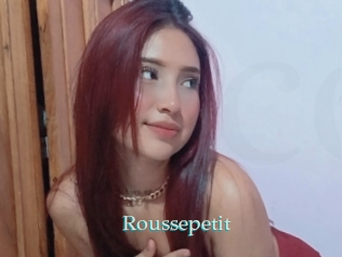 roussepetit 1 grosse cochonne