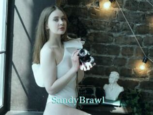 SandyBrawl