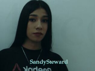 SandySteward