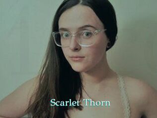 Scarlet_Thorn