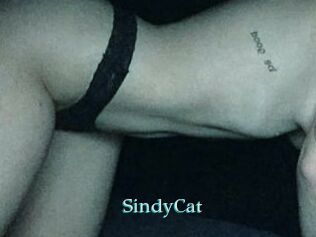 SindyCat