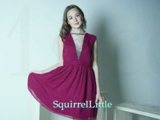SquirrelLittle