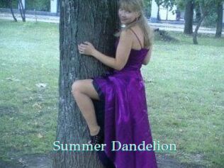 Summer_Dandelion