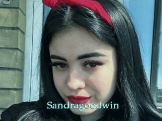 sandragoodwin 1 grosse cochonne