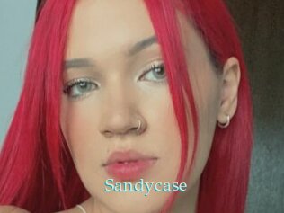 Sandycase