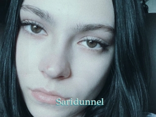 Saridunnel