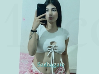 Sashagate