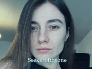 Seekeroftheone