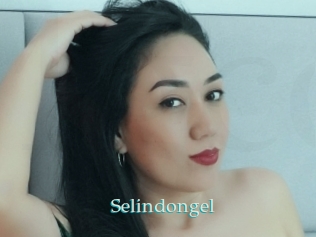 Selindongel
