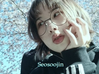 Seosoojin