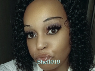 Shell019