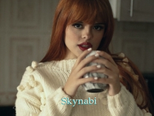 Skynabi