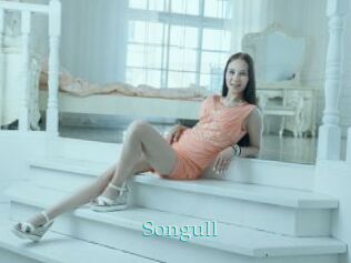 Songull