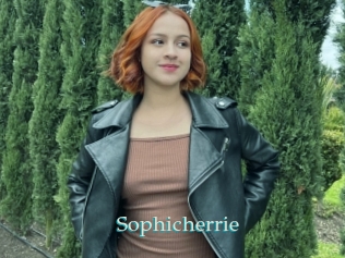 Sophicherrie
