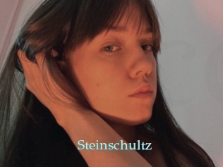 Steinschultz