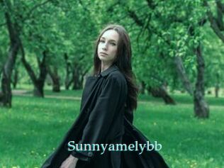 Sunnyamelybb