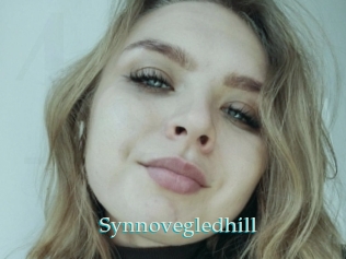 Synnovegledhill