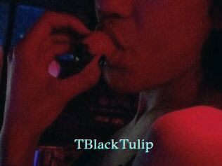 TBlackTulip
