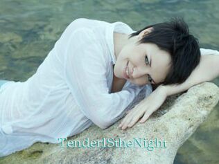TenderIStheNight