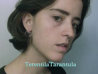 TerentilaTarantula