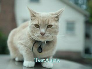 TestAlaric