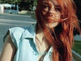 TinyFox