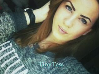 TinyTess
