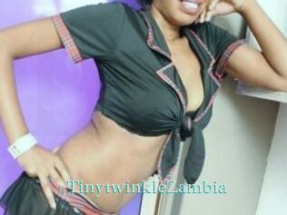 TinytwinkleZambia