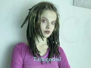 Taitegodsil