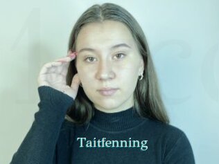 Taitfenning